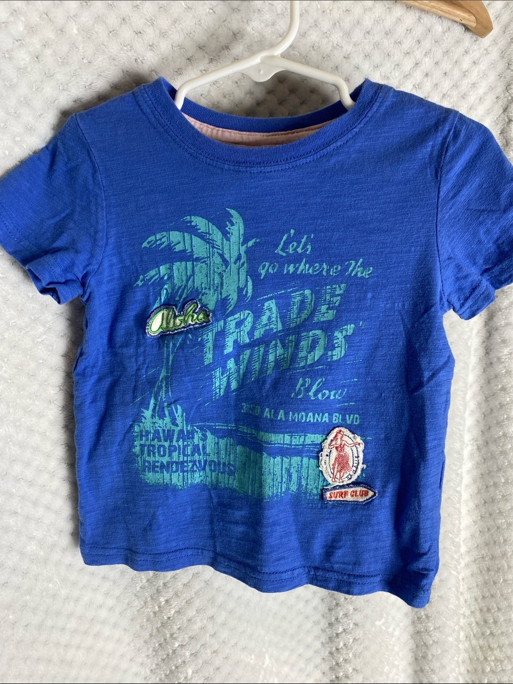 Gingersnaps Beach Cruisers Blue Tropical Graphic Tee T shirt